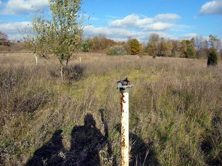 Albion Drive-In Theatre - Lot And Poles